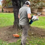 Top 5 Lawn Care Tips For A Healthy Lawn In Connecticut 2023