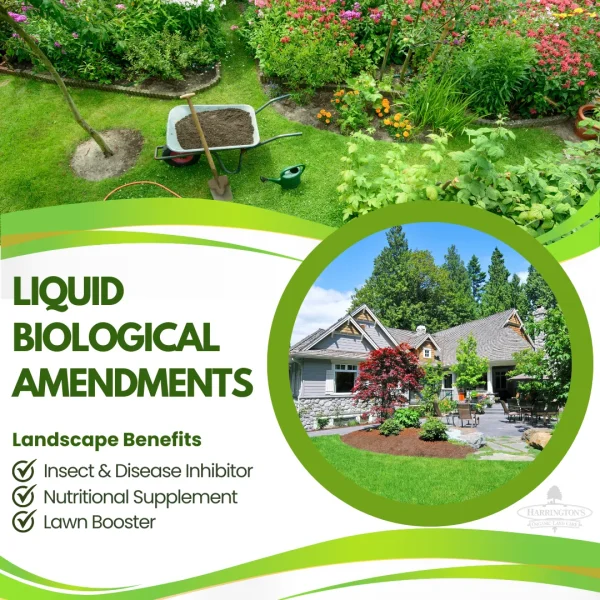 LBA - Liquid Biological Amendments (Compost Extract)