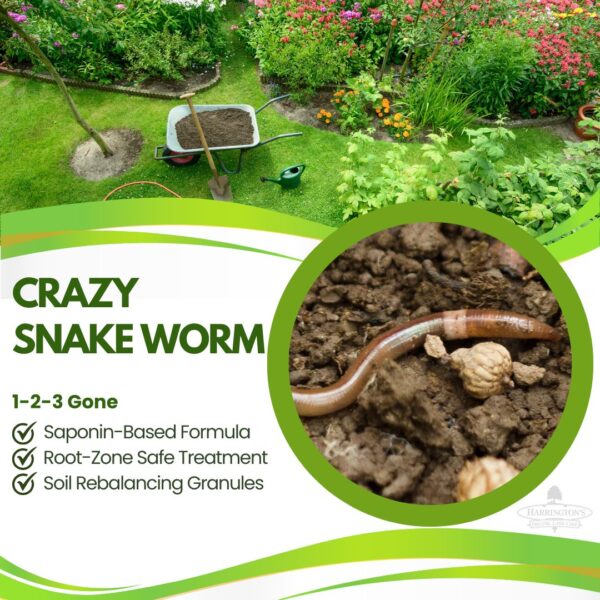 Crazy Snake Worm Management